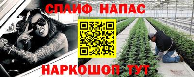 spice Ярославль