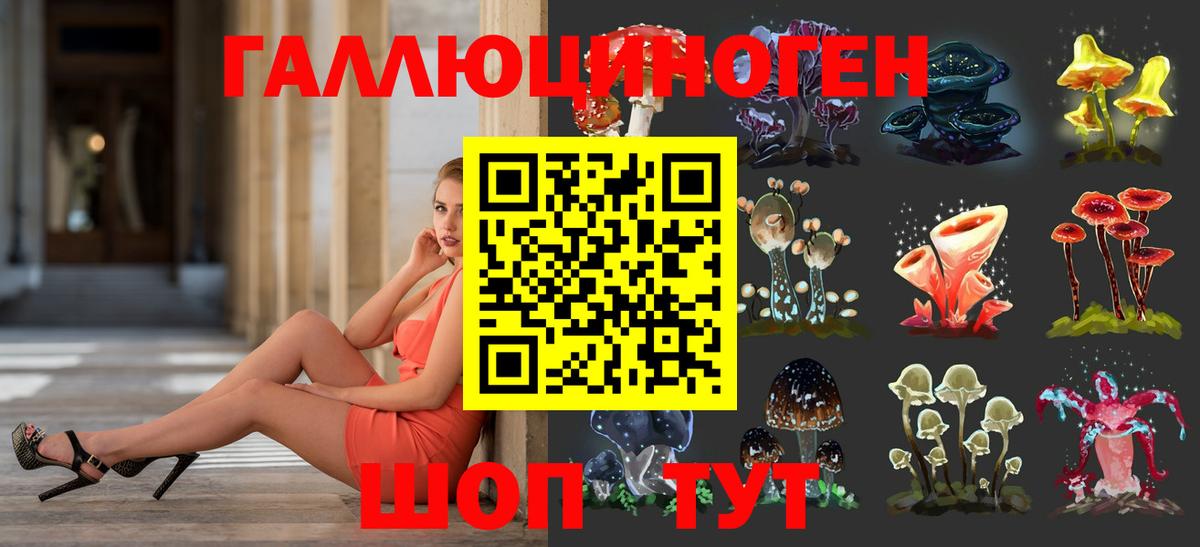 Благодарный  Галлюциногенные грибы Psilocybine cubensis  Вход с VPN 